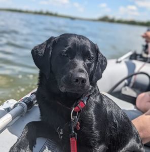 Meet your Posher, Angela